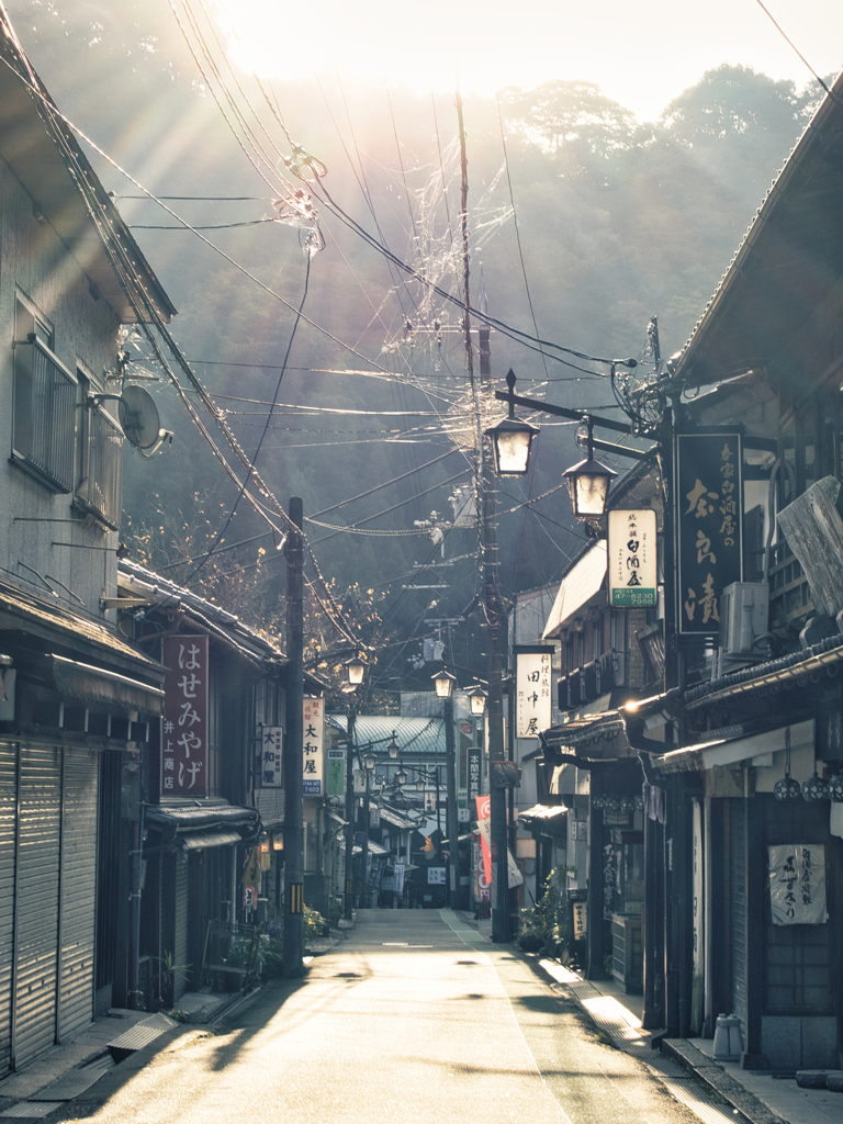 参道の朝