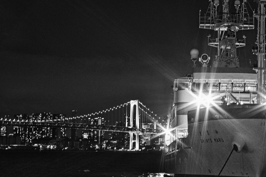 Tokyo Bay Night
