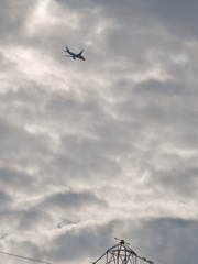 ずっと空を見ていた日