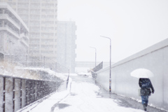 東京のとある雪の日