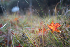 ギリギリセーフ