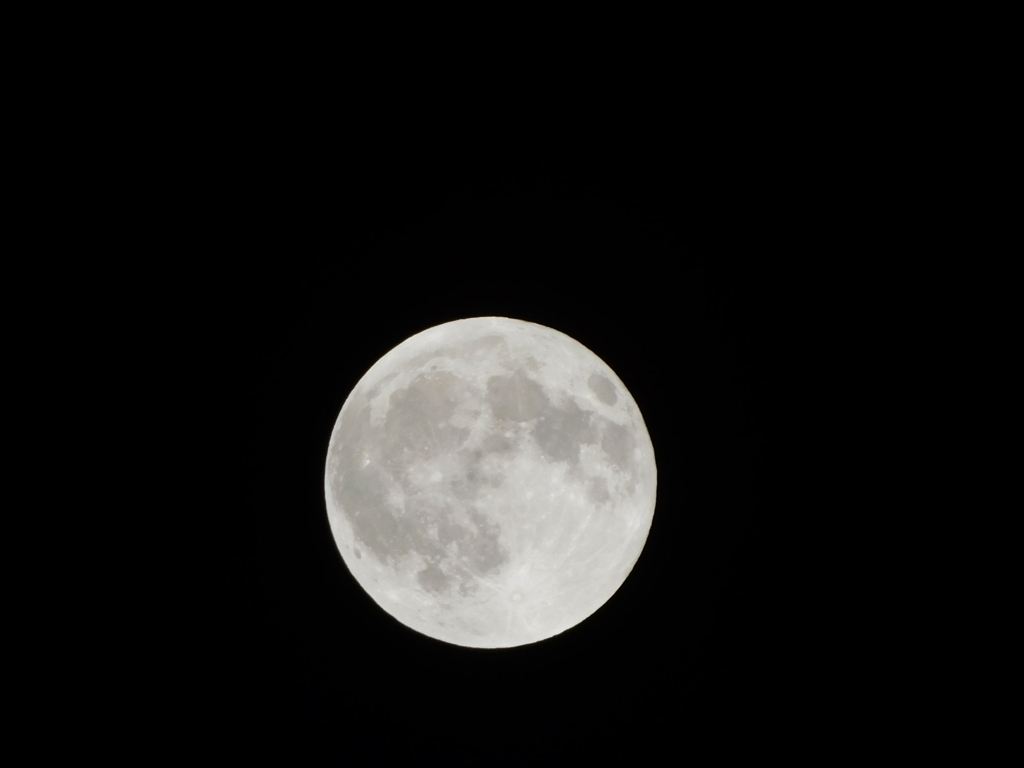 ビーバームーン