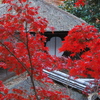 紅葉と丸窓