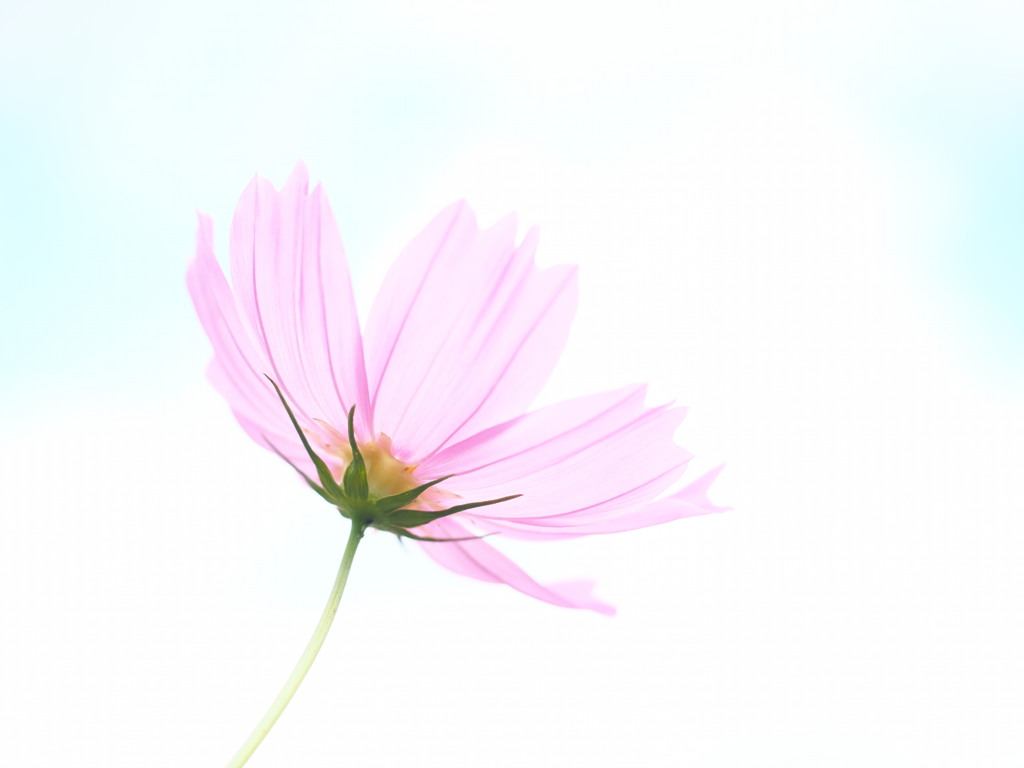 秋を感じて