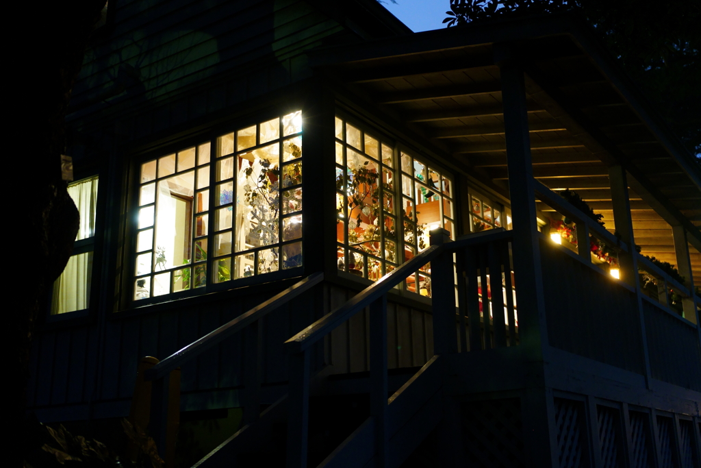 クリスマスの灯りが零れて