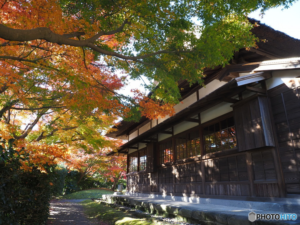 鶴翔閣の紅葉