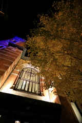 黄葉とジャック