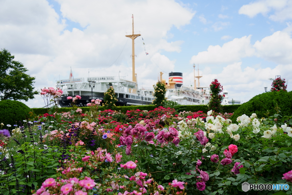 山下公園にて