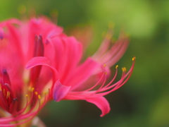 季節の分岐点
