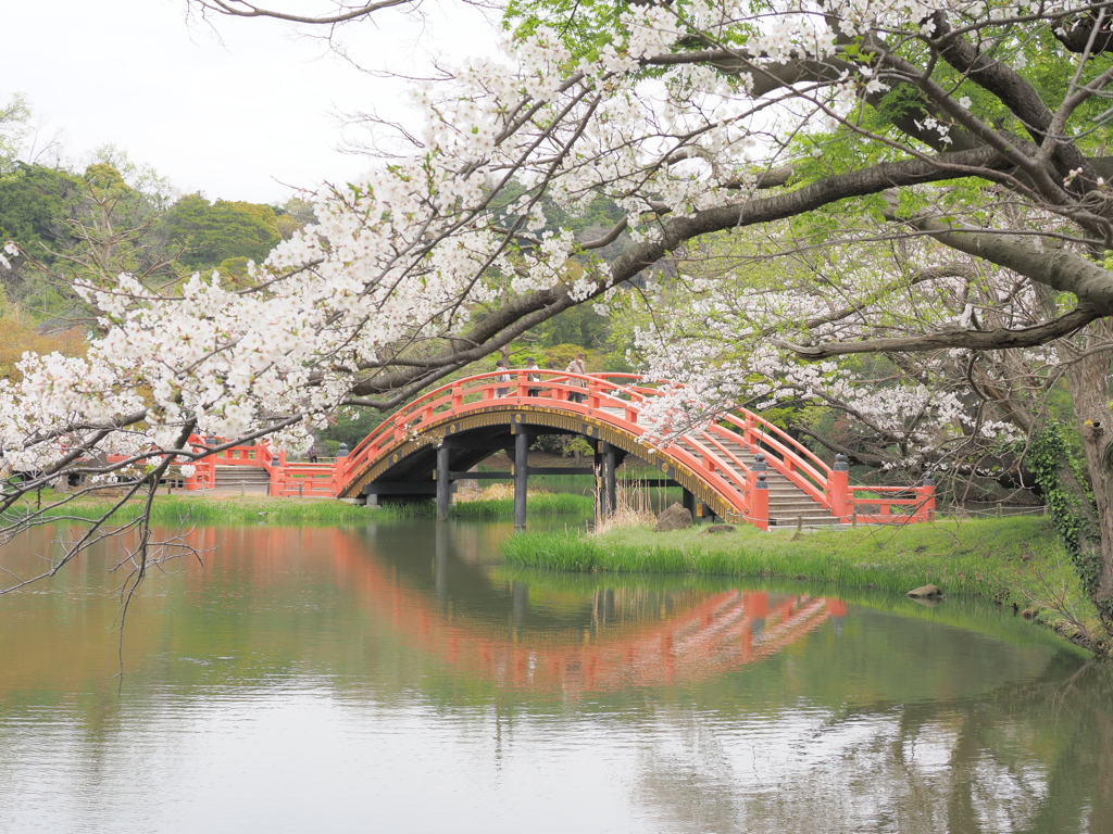 称名寺の春景色