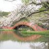 称名寺の春景色