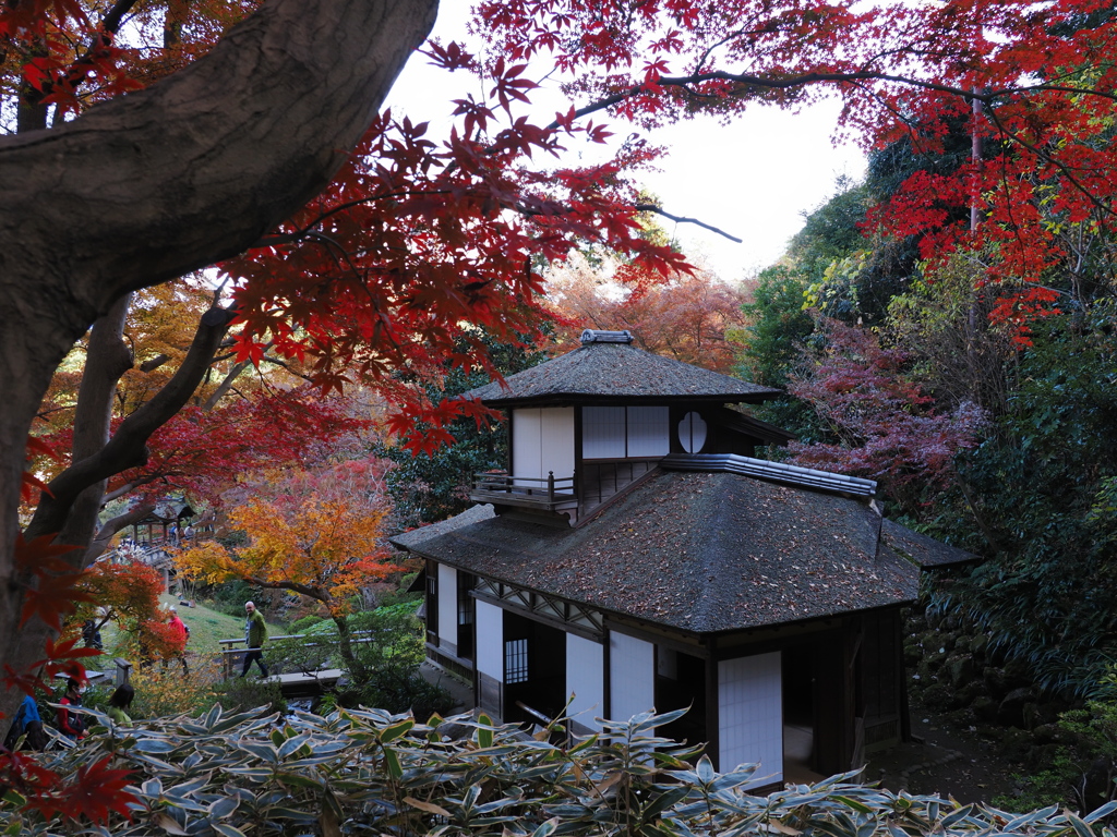 紅葉の聴秋閣