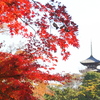 三渓園紅葉の頃