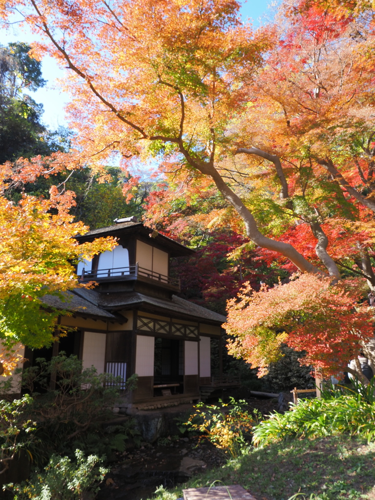 紅葉に埋まる紅葉閣
