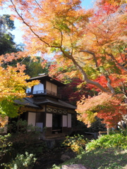 紅葉に埋まる紅葉閣
