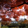 紅葉に染まるイギリス館