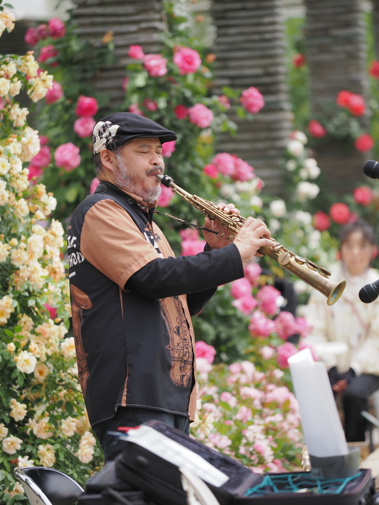 春薔薇の季節