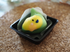 インコも楽しめます
