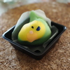 インコも楽しめます