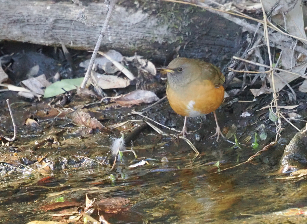 誰も見てくれなくて
