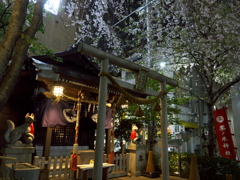 夜の日本橋神社巡り～茶ノ木神社