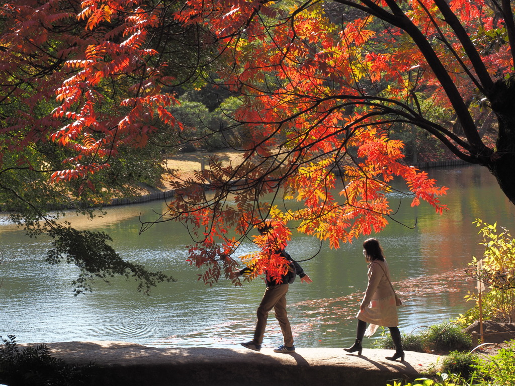 紅葉の橋の上で