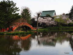 称名寺春の景観