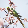 こんにちは、夫婦で来ちゃいました。