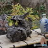 第二の人生に祝杯を