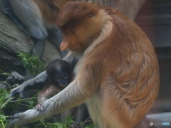 優しいまなざし