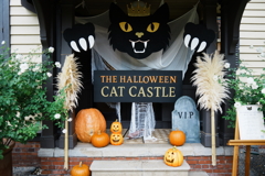 CAT CASTLE CAT CASTLE