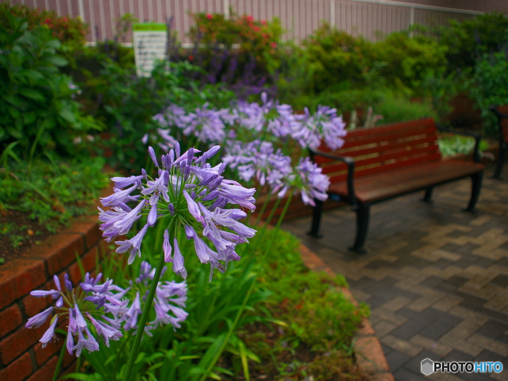 雨の日の公園