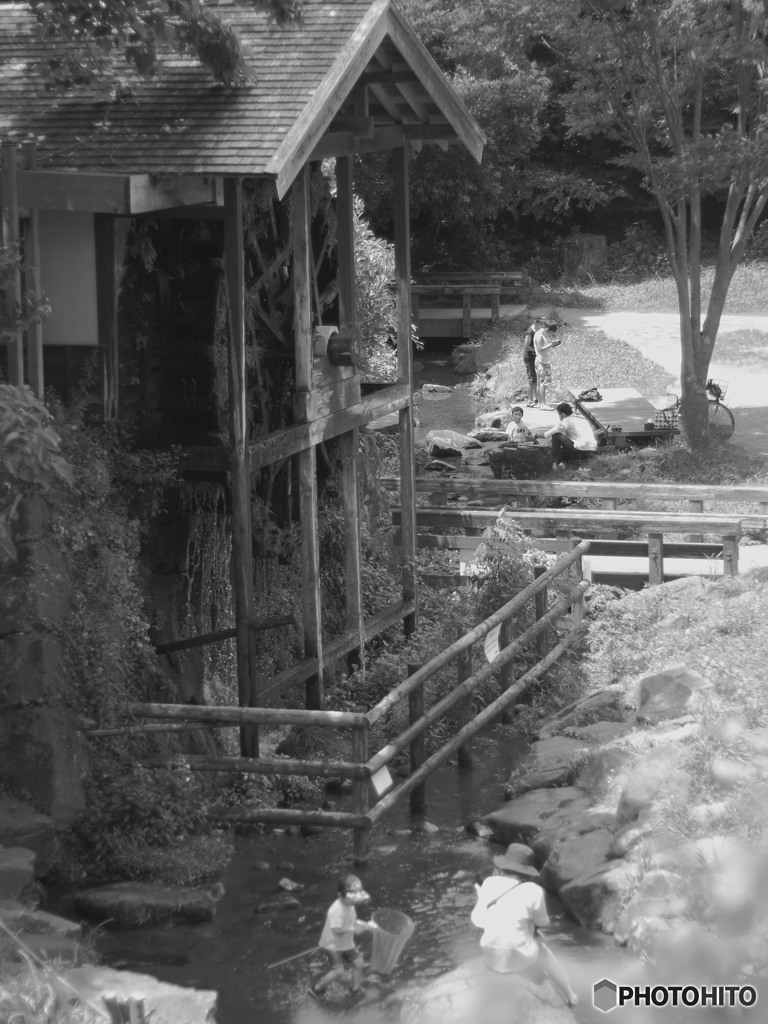 猛暑の中の水車小屋の風景