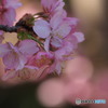 春の息吹