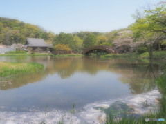 春の称名寺