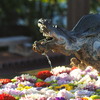 竜が守る花手水