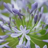 梅雨時の花火