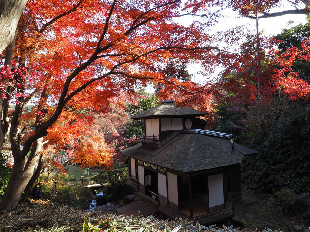 紅葉の聴秋閣