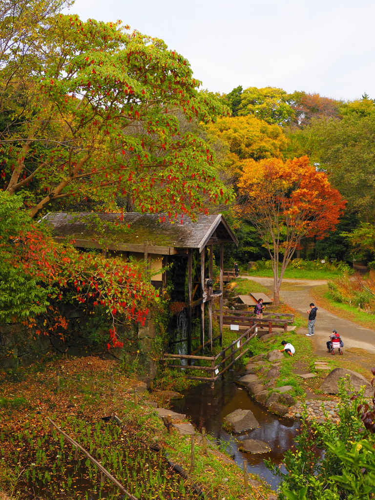 秋の水車小屋