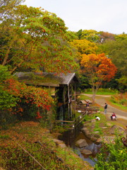 秋の水車小屋
