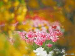 春の花園への誘惑