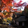 聴秋閣と紅葉