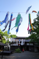 長屋門の鯉のぼり