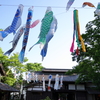 長屋門の鯉のぼり