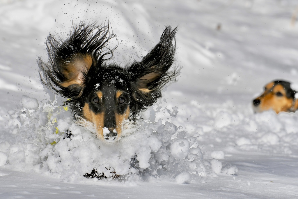 らんよ早く来い❗️