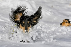 らんよ早く来い❗️