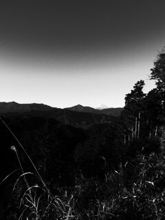 朝の富士山