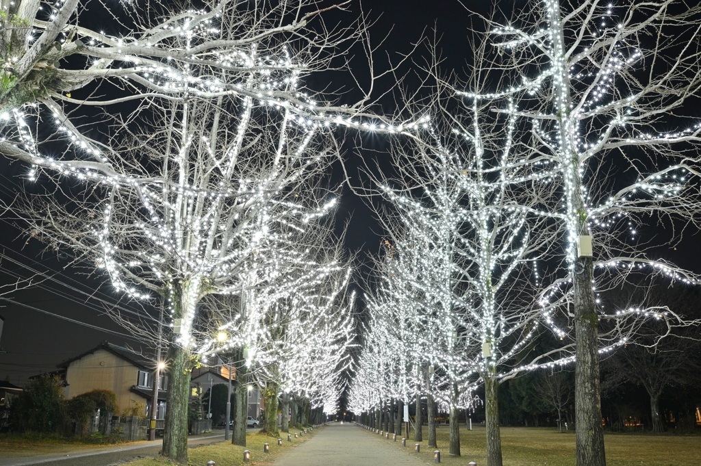 '20年最後の夜景撮り(イルミネーション)