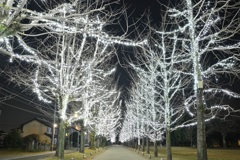 '20年最後の夜景撮り(イルミネーション)