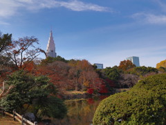 新宿御苑からの都庁